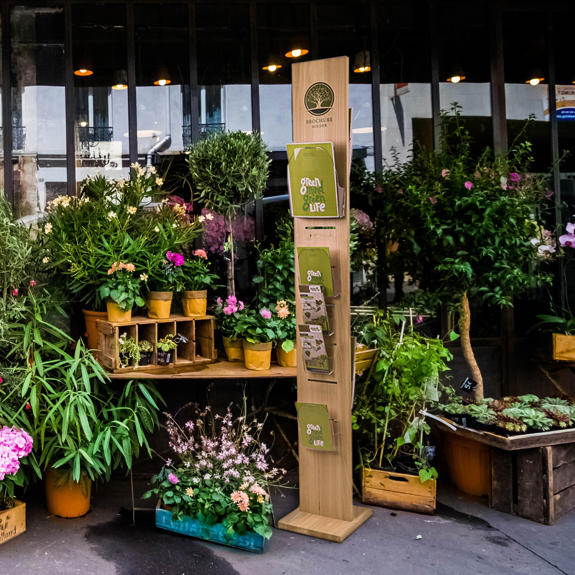 Prospektständer Dacapo Wood